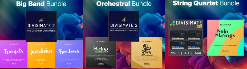 Divismate bundles