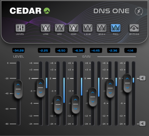 CEDAR DNS One