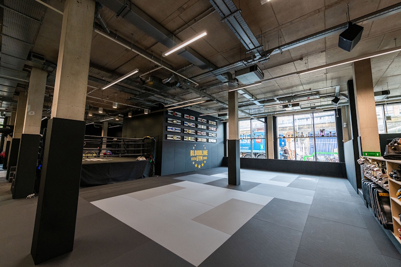 OptimalAudio Bloodline Gym 01