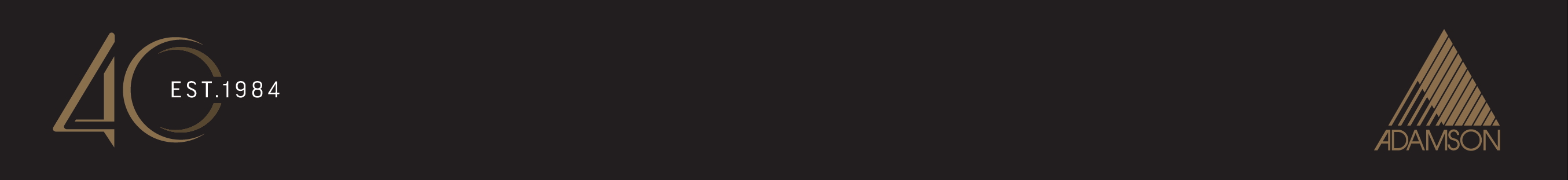 Adamson logo