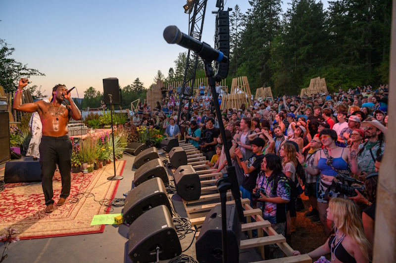 MartinAudio Pickathon 02 c miri stebivka
