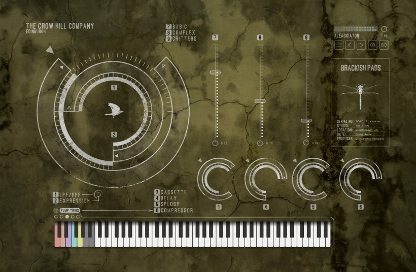 TCHC BP GUI