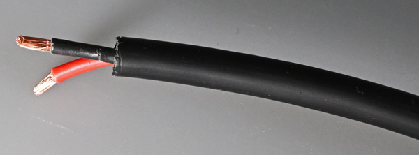 DSC 1421 600